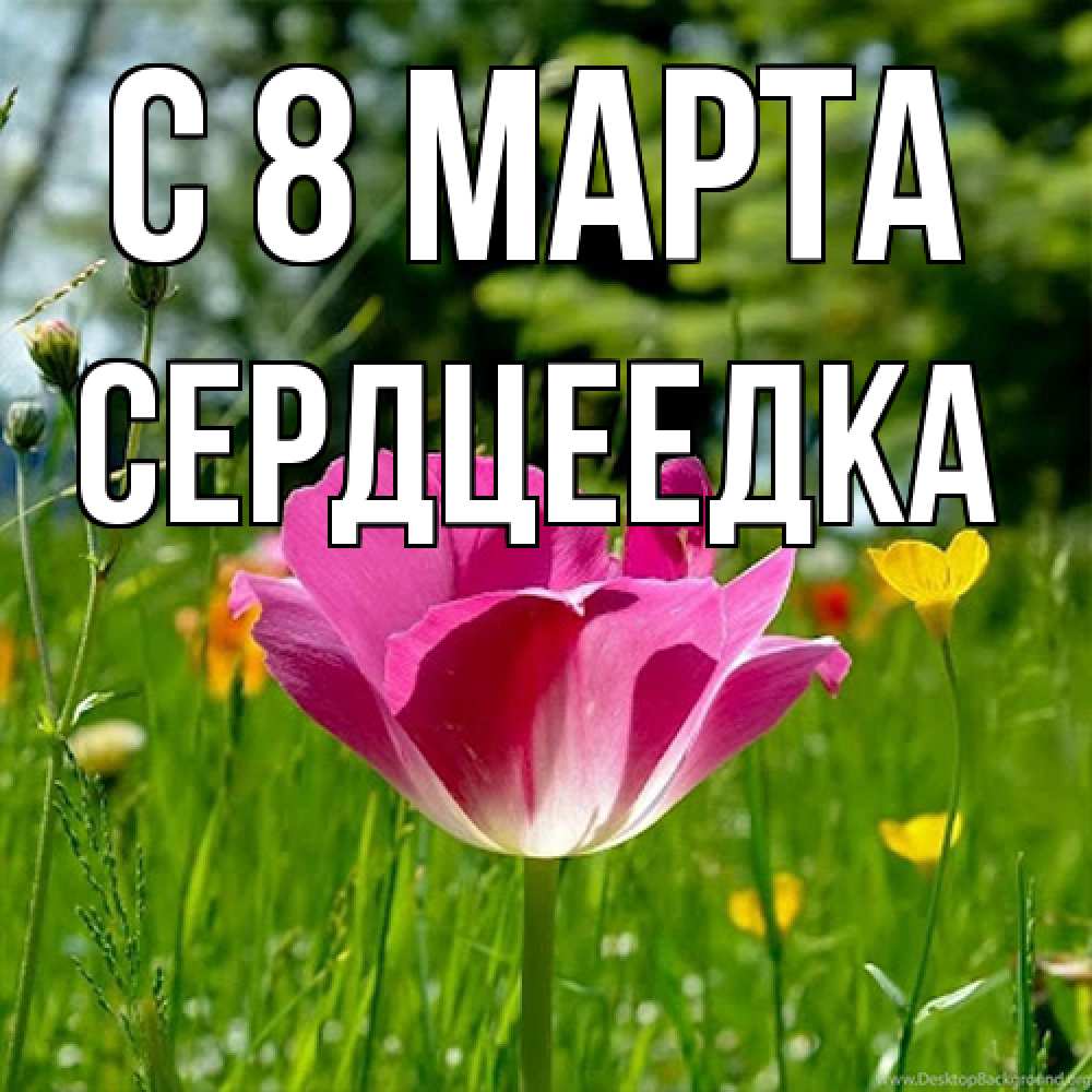 Открытка на каждый день с именем, сердцеедка C 8 МАРТА полевые цветы Прикольная открытка с пожеланием онлайн скачать бесплатно 