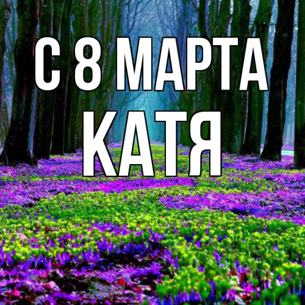 Открытка на каждый день с именем, Катя C 8 МАРТА фиолетовые цветы в лесу 1 Прикольная открытка с пожеланием онлайн скачать бесплатно 