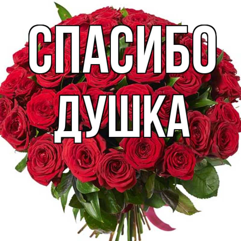 Картинка Спасибо, Душка
