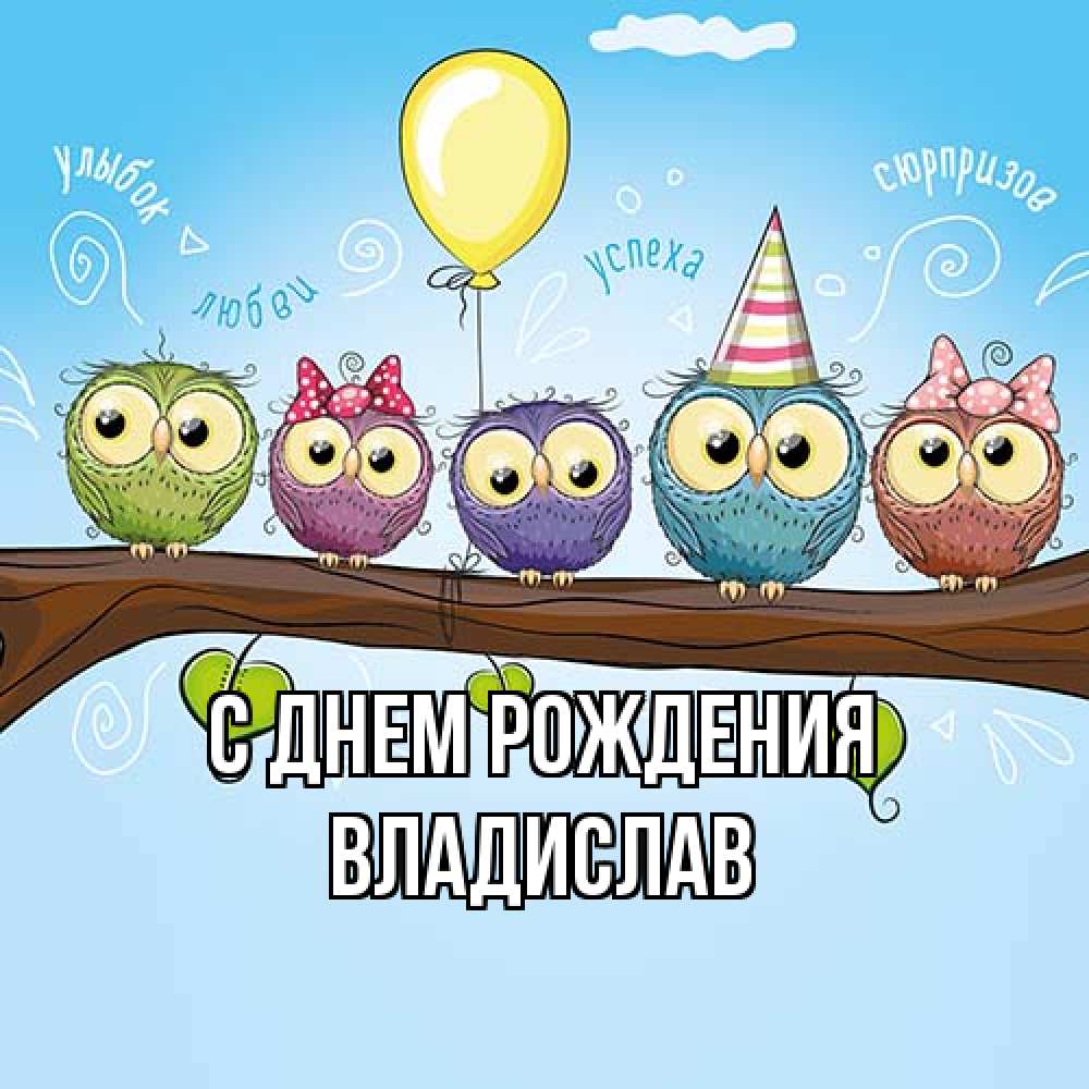 Открытка на каждый день с именем, Владислав С днем рождения совы Прикольная открытка с пожеланием онлайн скачать бесплатно 