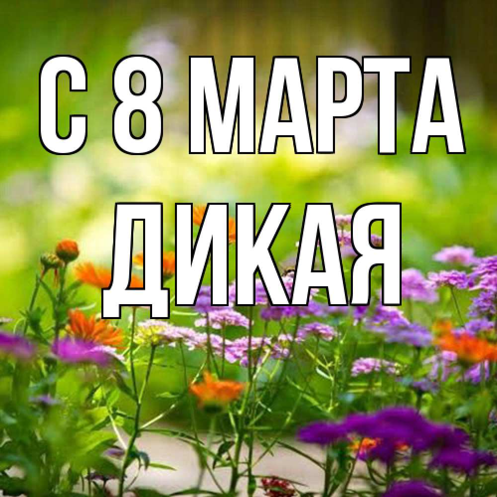 Открытка на каждый день с именем, дикая C 8 МАРТА цветы Прикольная открытка с пожеланием онлайн скачать бесплатно 
