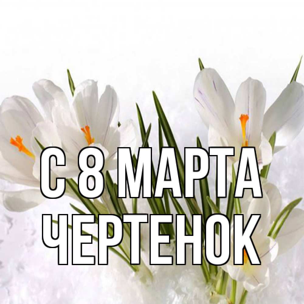 Открытка на каждый день с именем, чеpтенок C 8 МАРТА под снегом Прикольная открытка с пожеланием онлайн скачать бесплатно 
