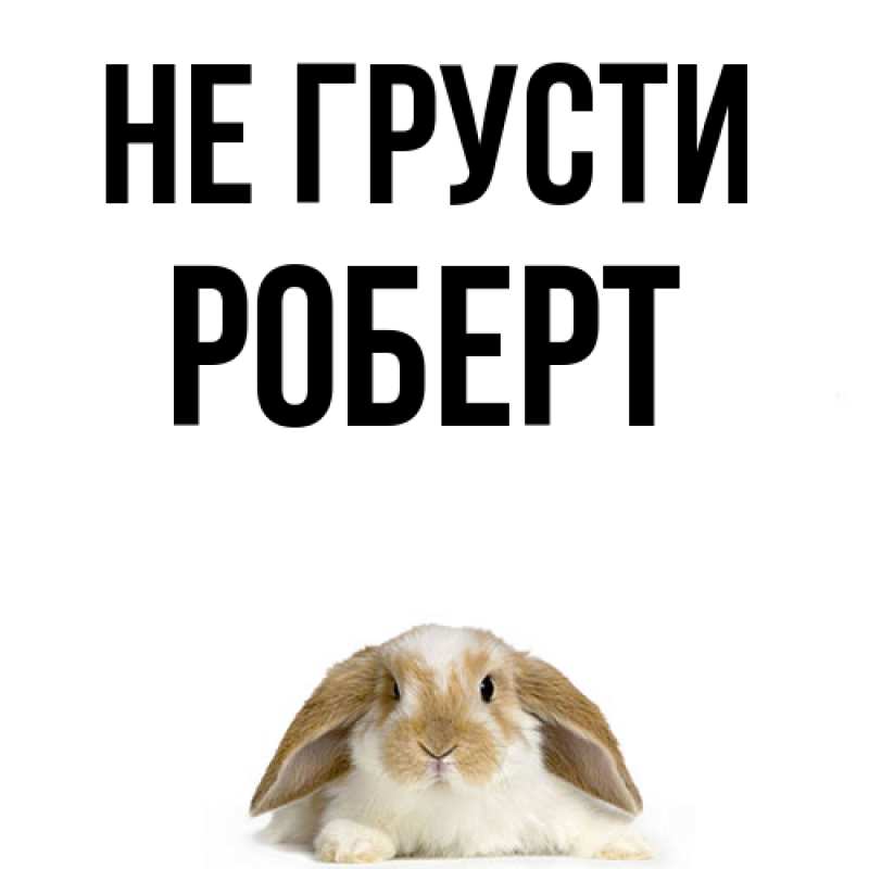 Картинка Не грусти, Роберт