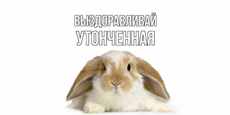 Картинка Выздоравливай, Утонченная