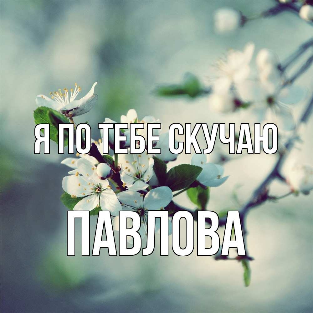 Открытка на каждый день с именем, Павлова Я по тебе скучаю весна Прикольная открытка с пожеланием онлайн скачать бесплатно 
