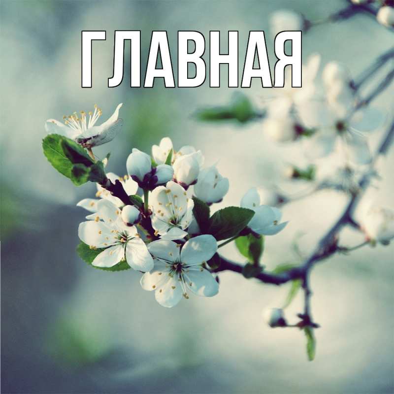 Картинка  с именем , настя