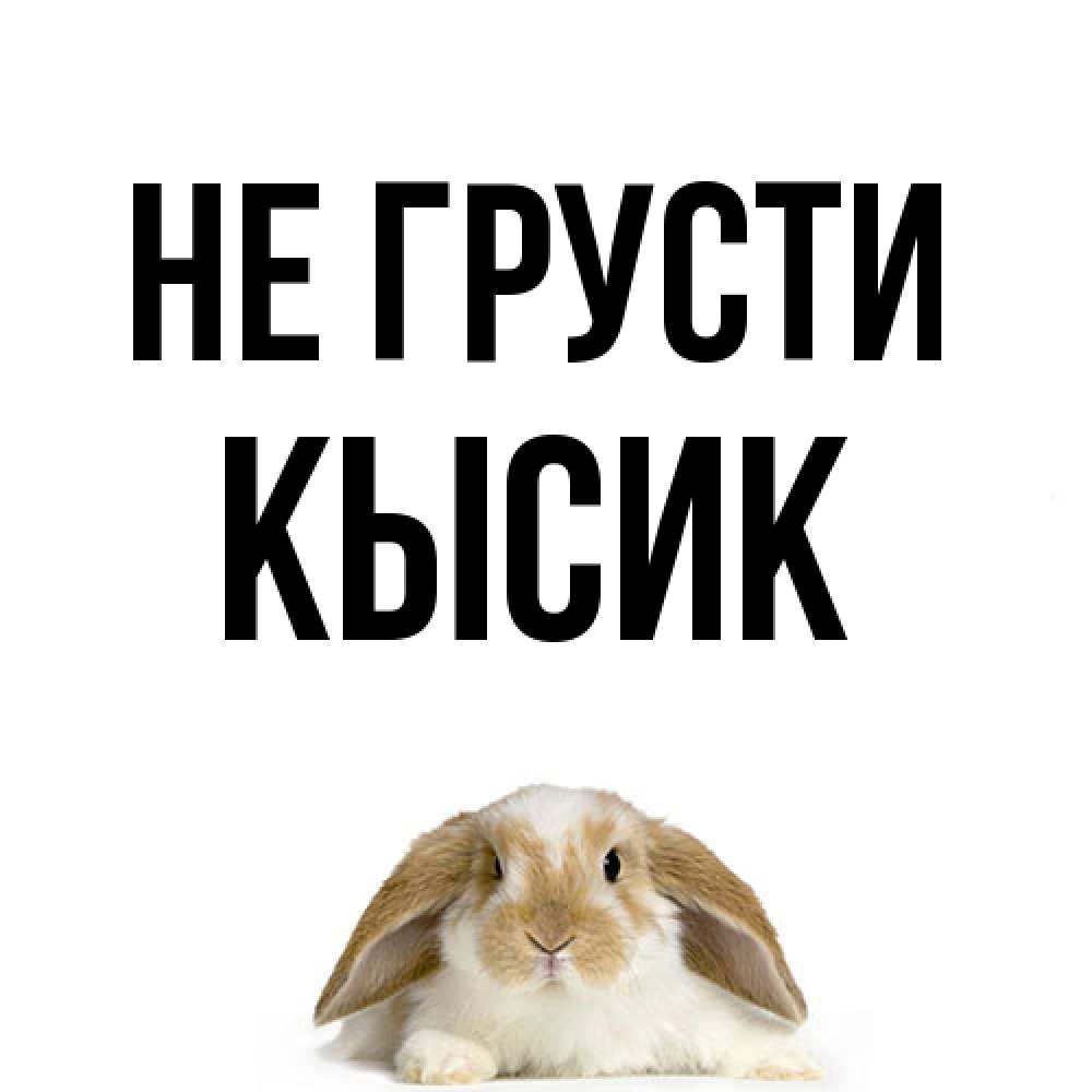 Открытка на каждый день с именем, Кысик Не грусти коричнево белый заяц с большими ушками Прикольная открытка с пожеланием онлайн скачать бесплатно 