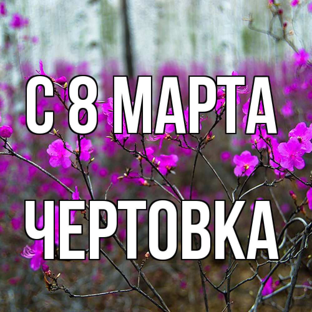 Открытка на каждый день с именем, Чертовка C 8 МАРТА дикие цветы Прикольная открытка с пожеланием онлайн скачать бесплатно 