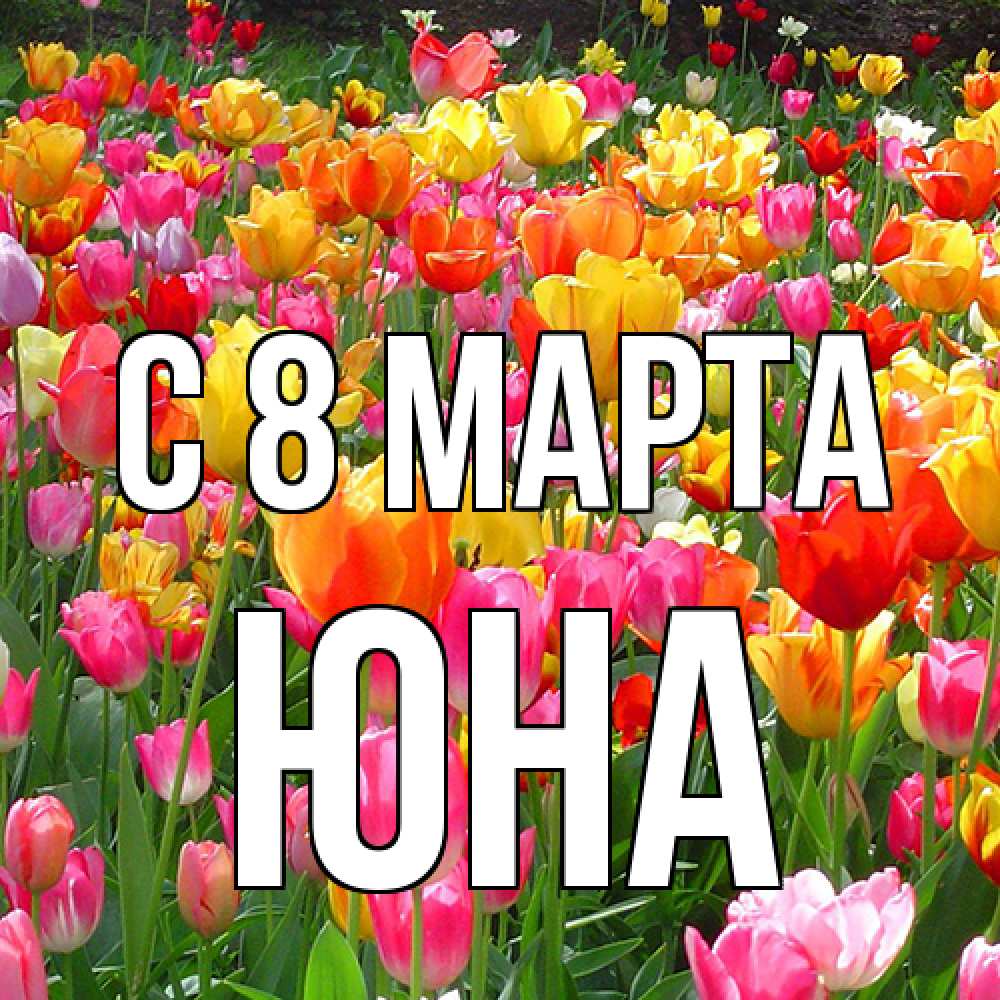 Открытка на каждый день с именем, Юна C 8 МАРТА на международный женский день Прикольная открытка с пожеланием онлайн скачать бесплатно 