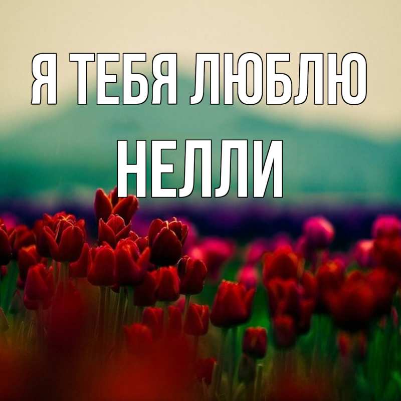 Картинка Я тебя люблю, Нелли