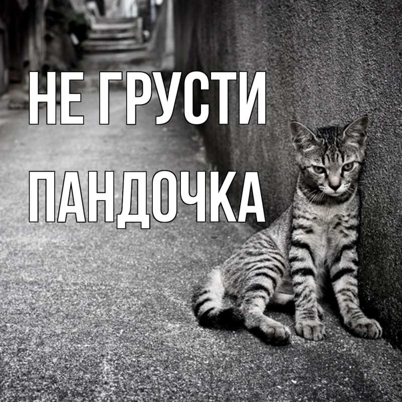 Картинка Не грусти, пандочка