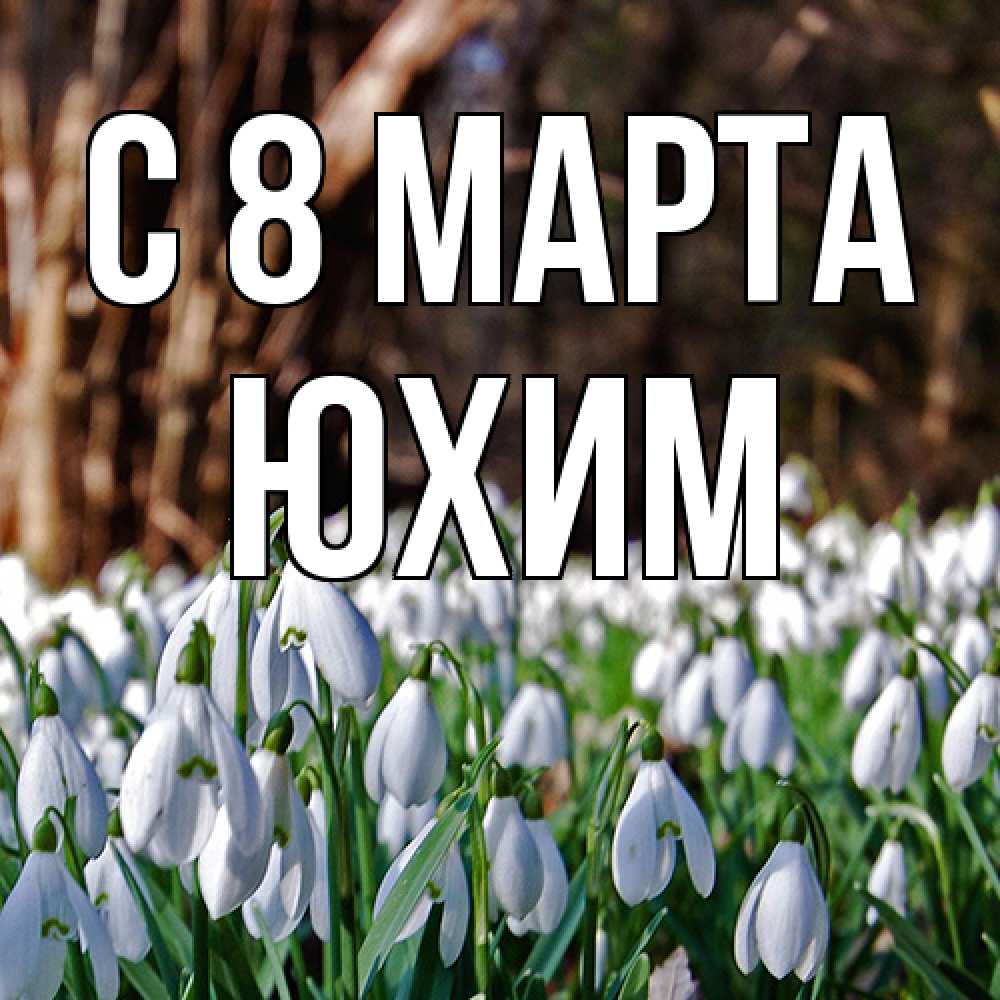 Открытка на каждый день с именем, Юхим C 8 МАРТА с подснежниками 1 Прикольная открытка с пожеланием онлайн скачать бесплатно 