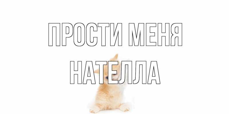 Картинка Прости меня, Нателла