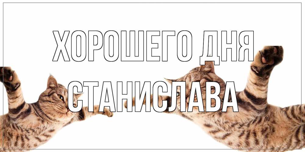 Открытка на каждый день с именем, Станислава Хорошего дня хорошего дня Прикольная открытка с пожеланием онлайн скачать бесплатно 