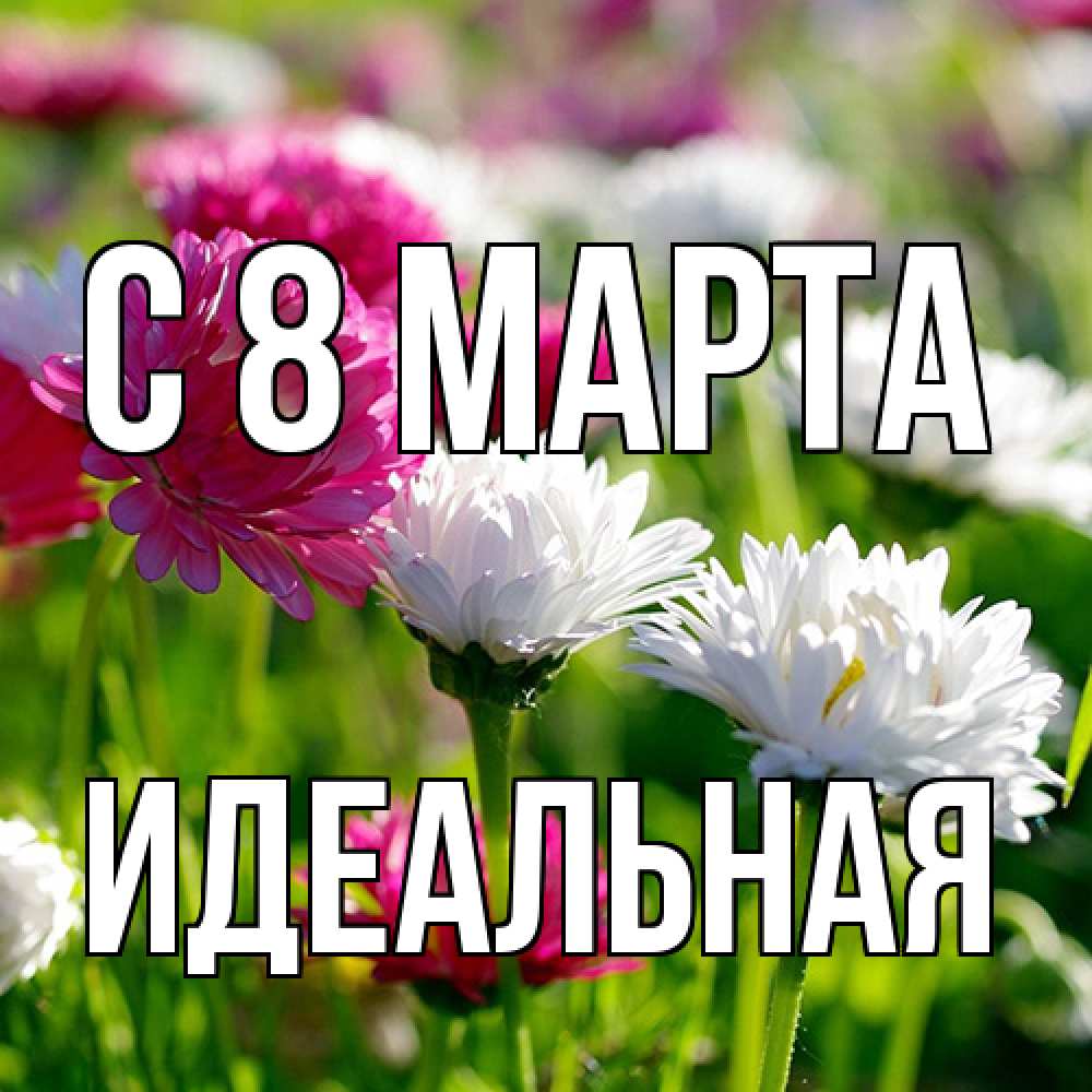 Открытка на каждый день с именем, идеальная C 8 МАРТА международный женский день 1 Прикольная открытка с пожеланием онлайн скачать бесплатно 