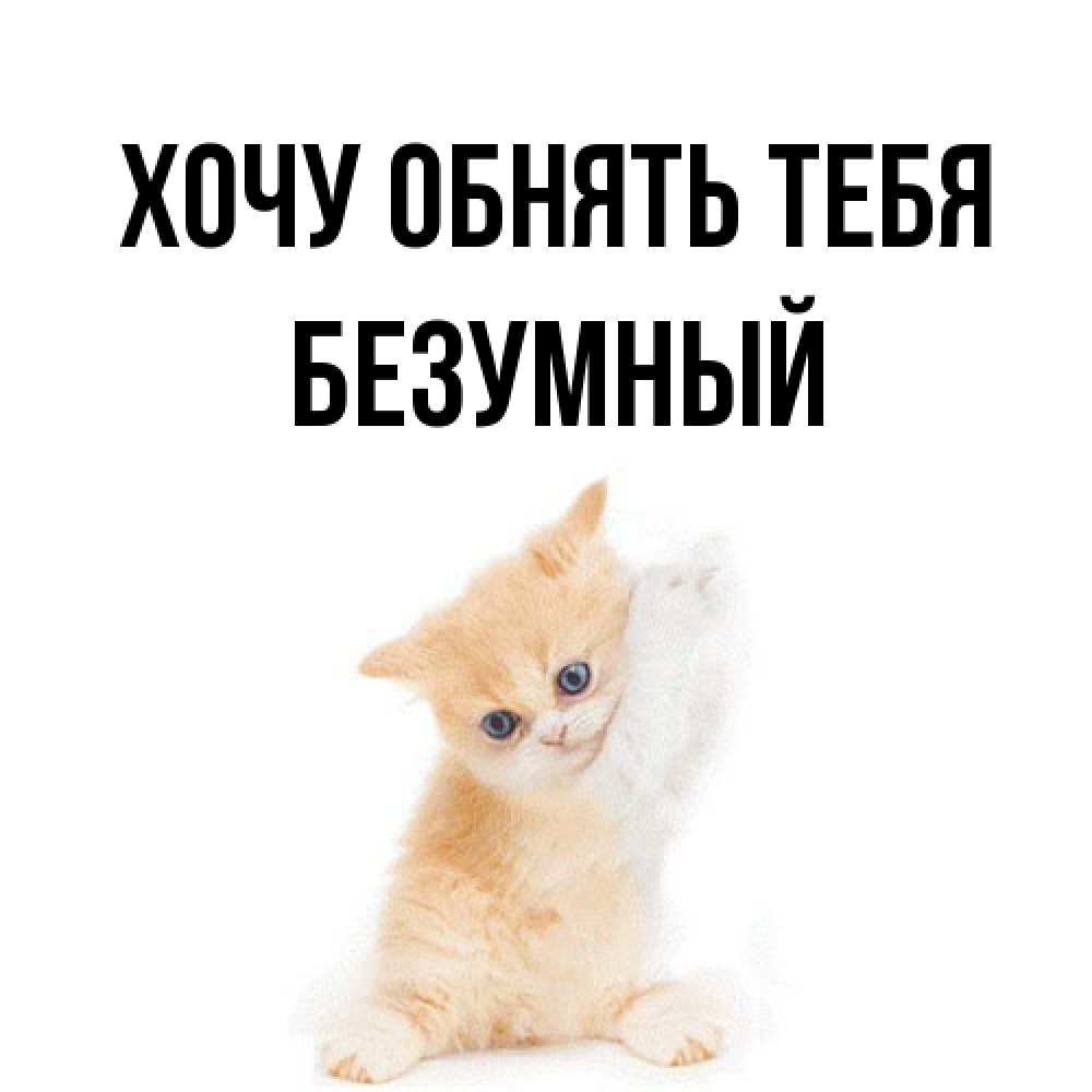 Открытка на каждый день с именем, Безумный Хочу обнять тебя я хочу очень скорее обнимаешек Прикольная открытка с пожеланием онлайн скачать бесплатно 