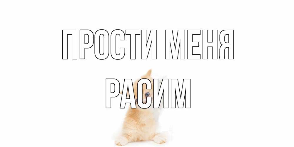Открытка на каждый день с именем, Расим Прости меня кот Прикольная открытка с пожеланием онлайн скачать бесплатно 