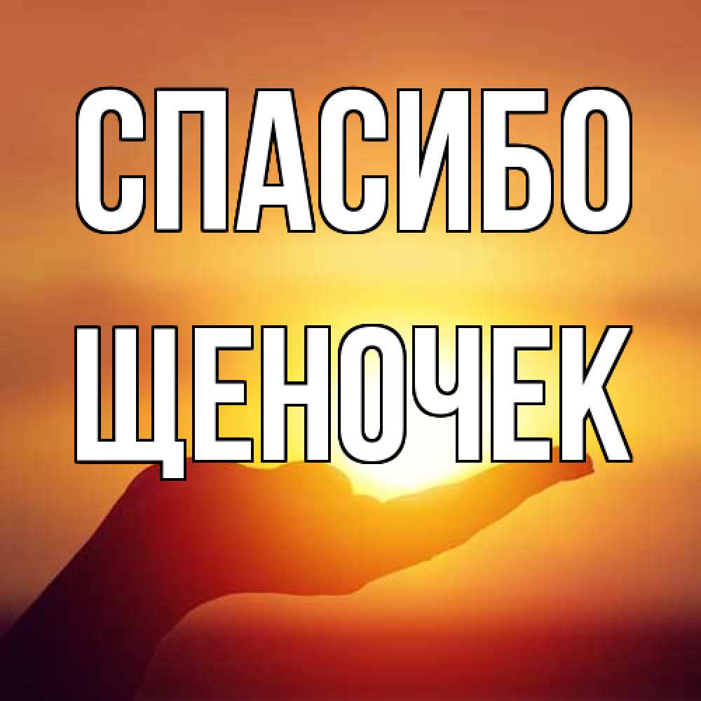 Открытка на каждый день с именем, Щеночек Спасибо закат Прикольная открытка с пожеланием онлайн скачать бесплатно 