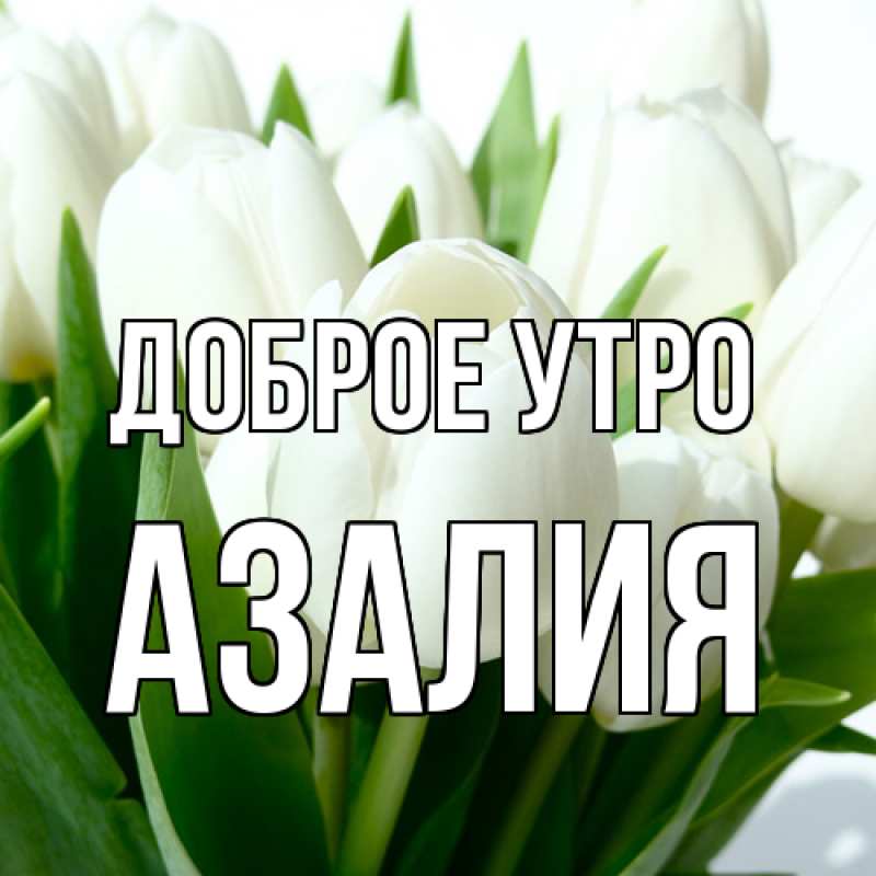 Картинка Доброе утро, Азалия