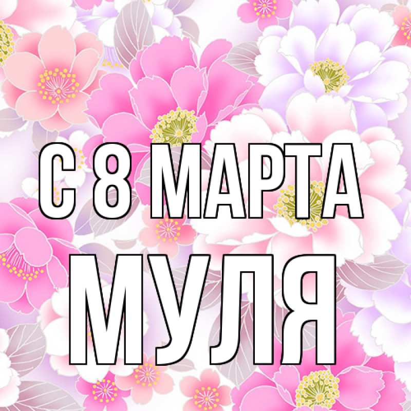 Картинка C 8 МАРТА, Муля
