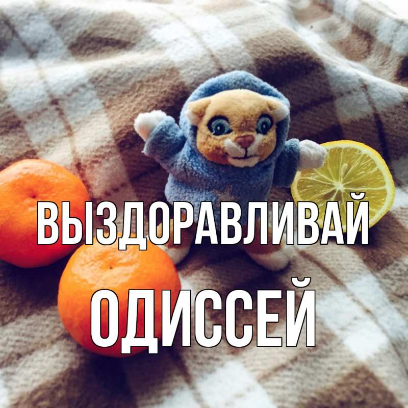 Картинка Выздоравливай, Одиссей