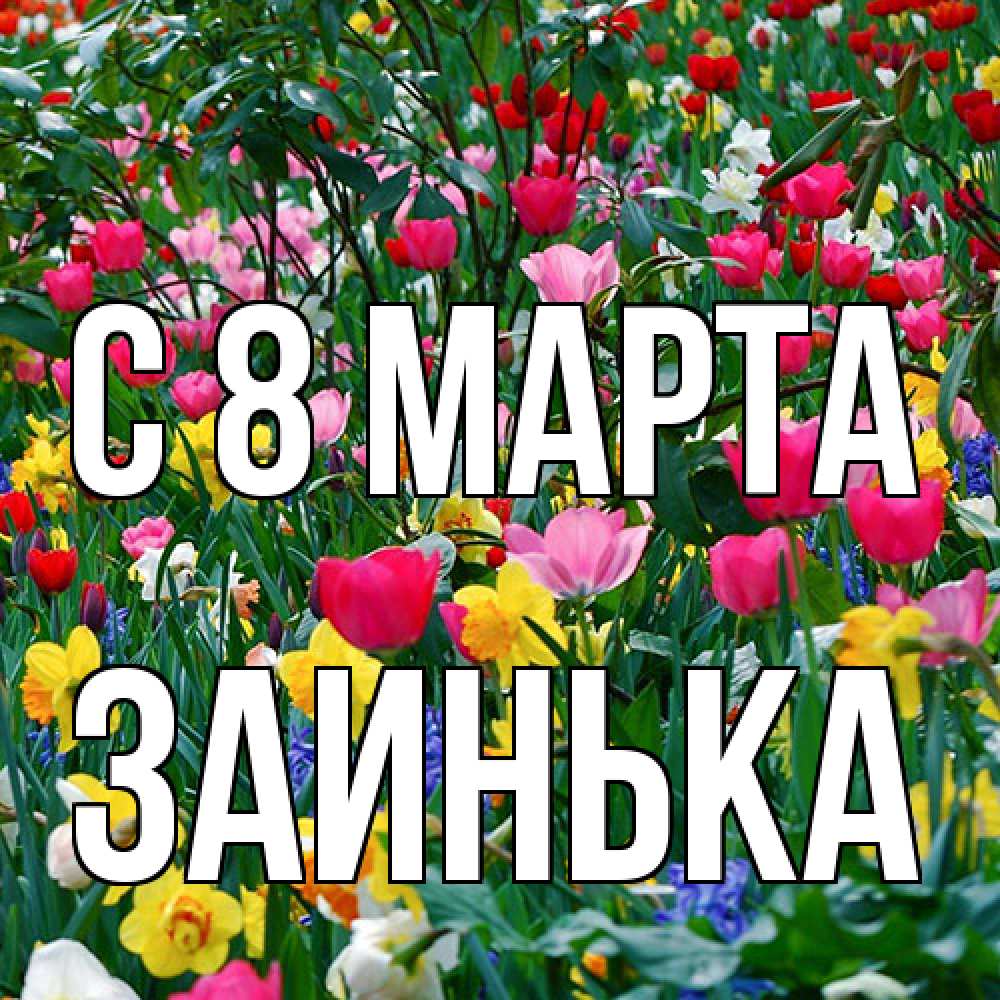 Открытка на каждый день с именем, Заинька C 8 МАРТА с международным женским днем поздравления для женщины Прикольная открытка с пожеланием онлайн скачать бесплатно 