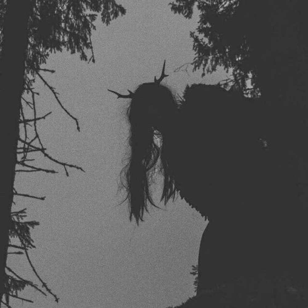 Открытка на каждый день с именем, бэйби Не грусти чудище лесное Прикольная открытка с пожеланием онлайн скачать бесплатно 