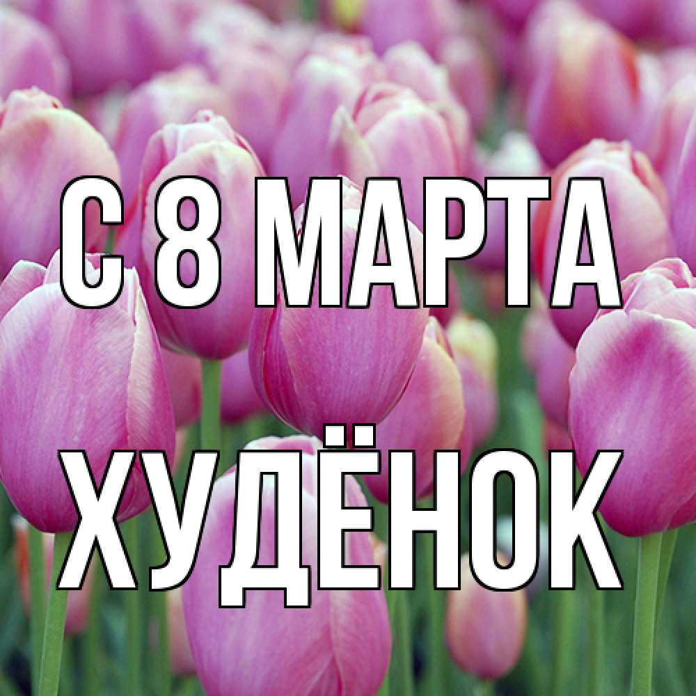 Открытка на каждый день с именем, худёнок C 8 МАРТА на международный женский день 3 Прикольная открытка с пожеланием онлайн скачать бесплатно 