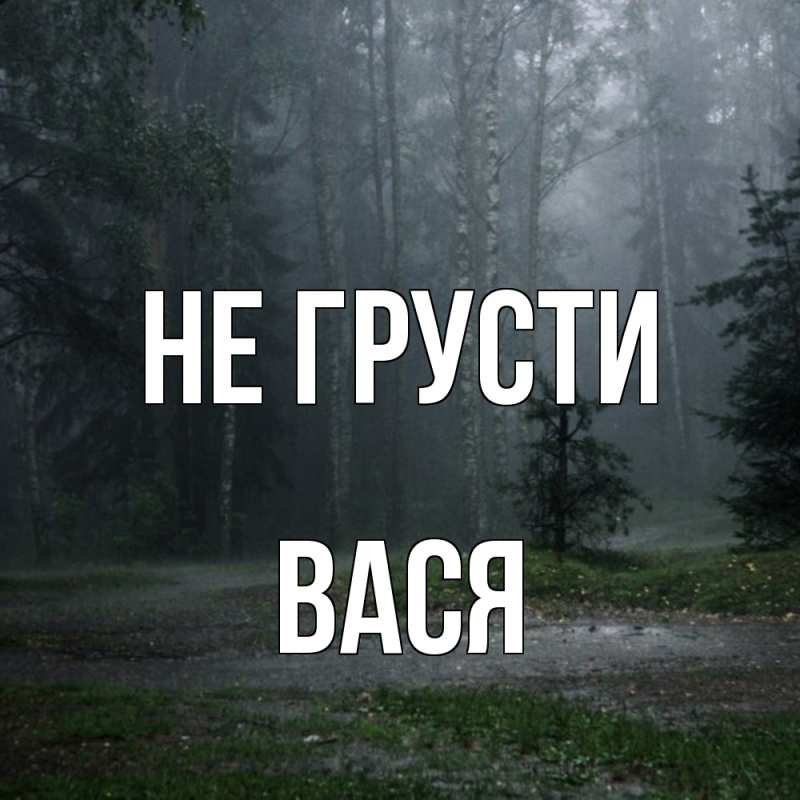 Картинка Не грусти, Вася