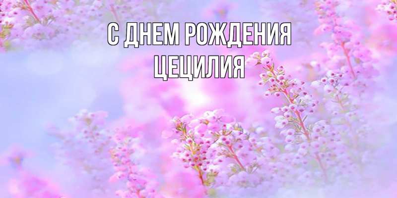 Картинка С днем рождения, Цецилия