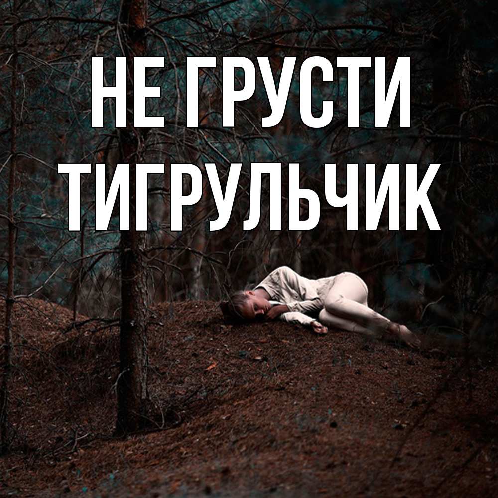 Открытка на каждый день с именем, Тигpульчик Не грусти лес Прикольная открытка с пожеланием онлайн скачать бесплатно 