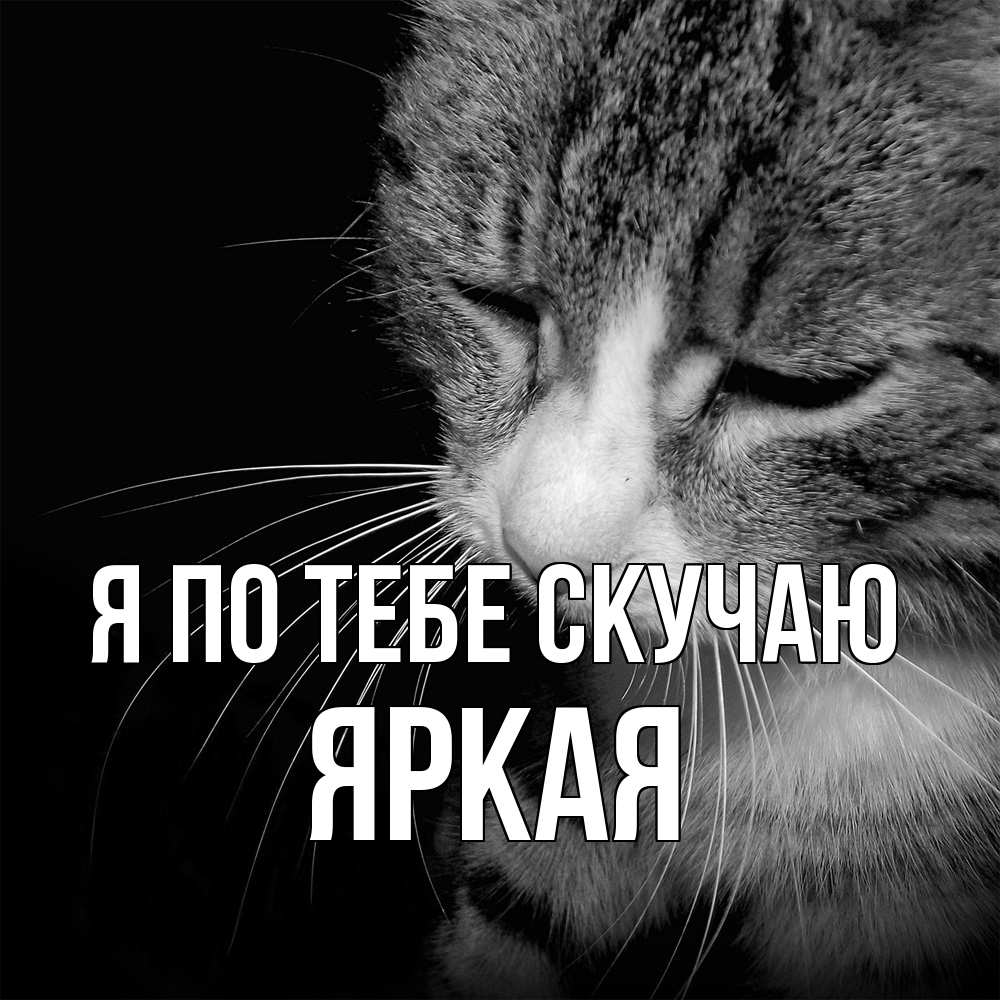 Открытка на каждый день с именем, яркая Я по тебе скучаю мне скучно Прикольная открытка с пожеланием онлайн скачать бесплатно 