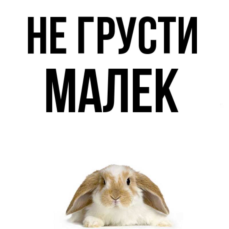 Картинка Не грусти, Малек