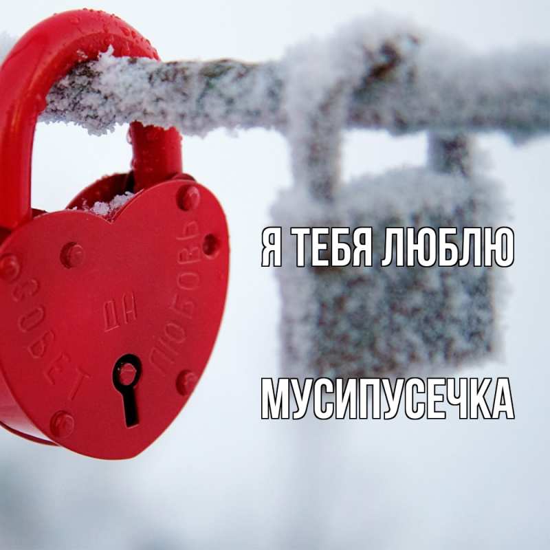 Картинка Я тебя люблю, Мусипусечка