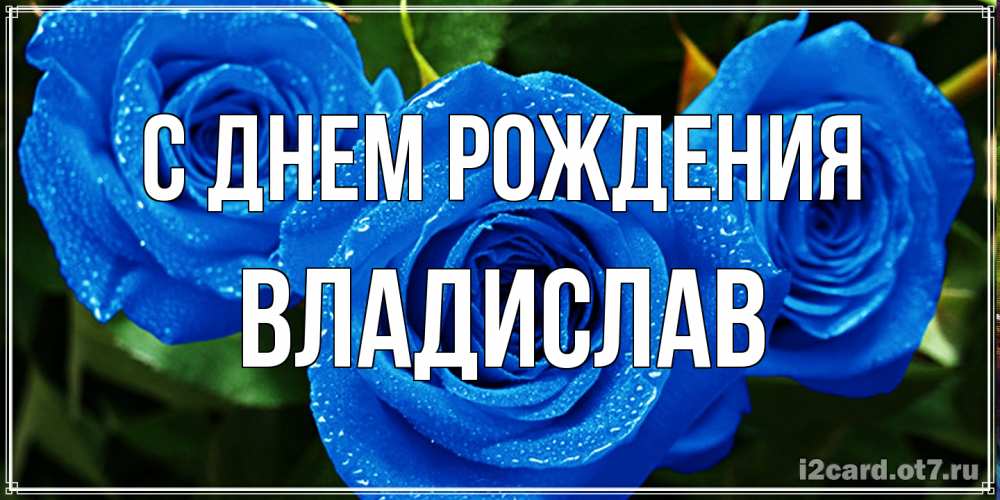 Открытка на каждый день с именем, Владислав С днем рождения розы с синим цветом Прикольная открытка с пожеланием онлайн скачать бесплатно 