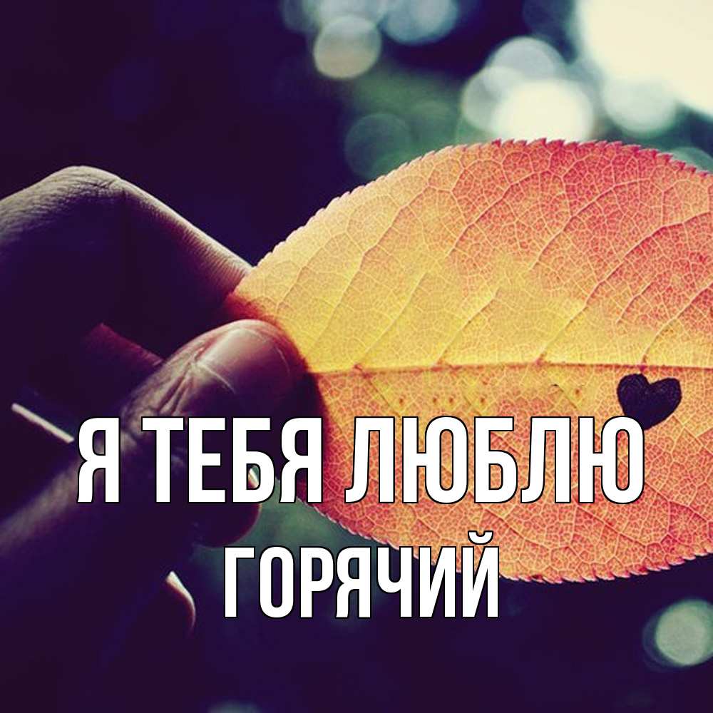 Открытка на каждый день с именем, Горячий Я тебя люблю держу лист Прикольная открытка с пожеланием онлайн скачать бесплатно 