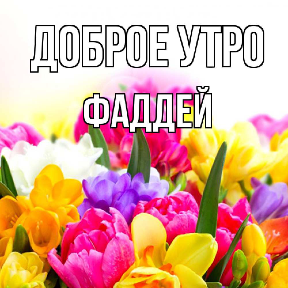 Открытка на каждый день с именем, Фаддей Доброе утро создать открытку со свое подписью Прикольная открытка с пожеланием онлайн скачать бесплатно 