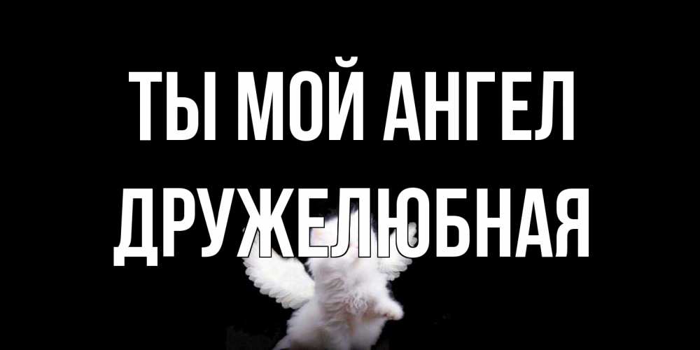 Открытка на каждый день с именем, Дружелюбная Ты мой ангел Кот ангел Прикольная открытка с пожеланием онлайн скачать бесплатно 