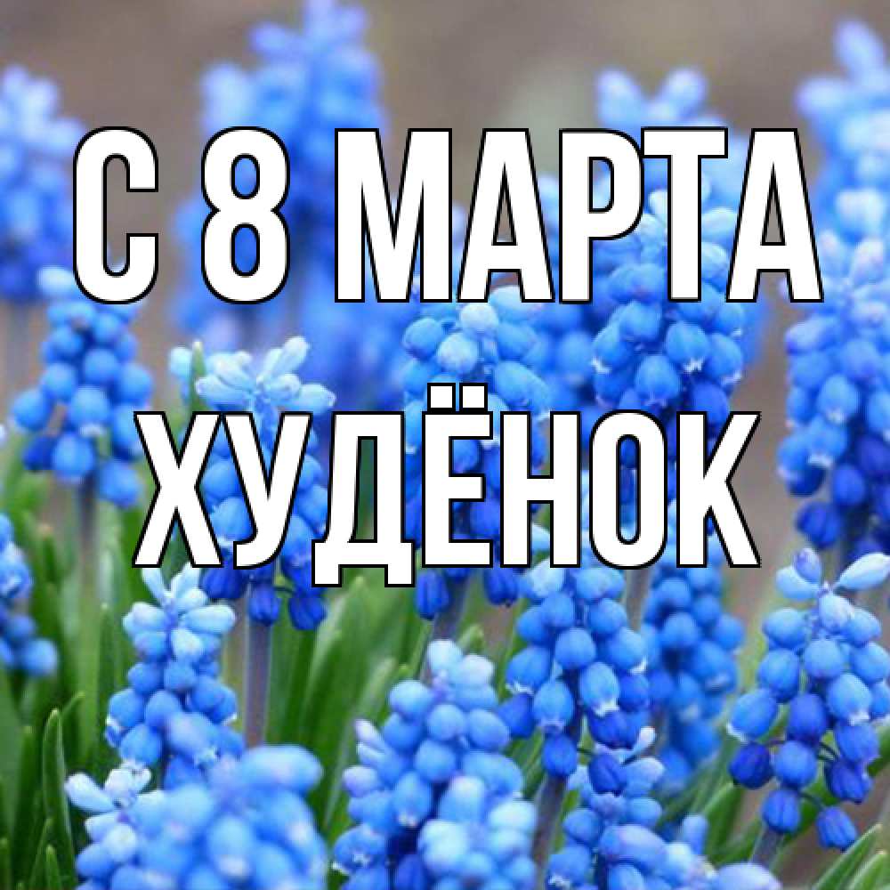 Открытка на каждый день с именем, худёнок C 8 МАРТА Поздравительная открытка для женщин с цветами на праздничную дату Прикольная открытка с пожеланием онлайн скачать бесплатно 