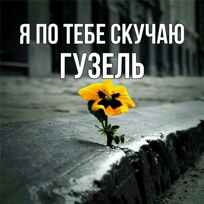 Картинка Я по тебе скучаю, Гузель