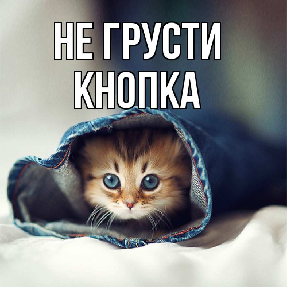 Открытка на каждый день с именем, Кнопка Не грусти рыжик котик Прикольная открытка с пожеланием онлайн скачать бесплатно 