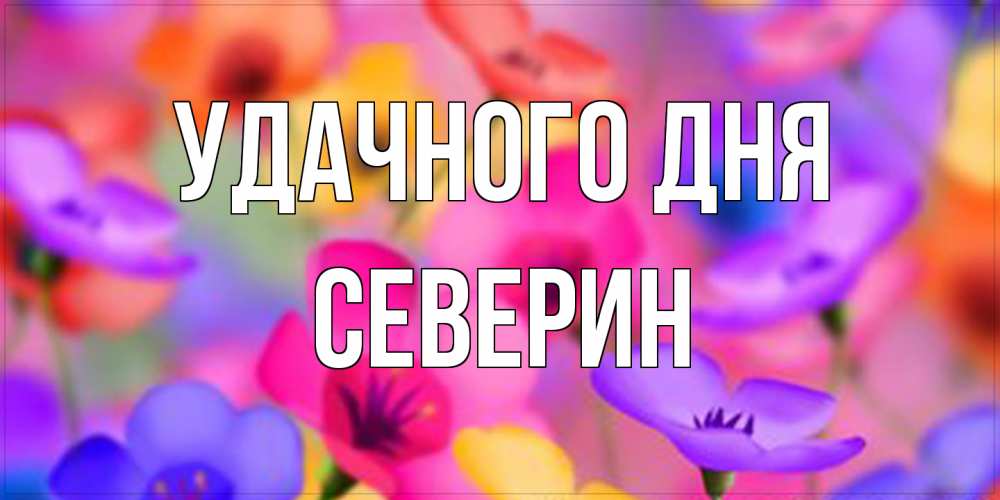 Открытка на каждый день с именем, Северин Удачного дня открытка повышающая настроение Прикольная открытка с пожеланием онлайн скачать бесплатно 