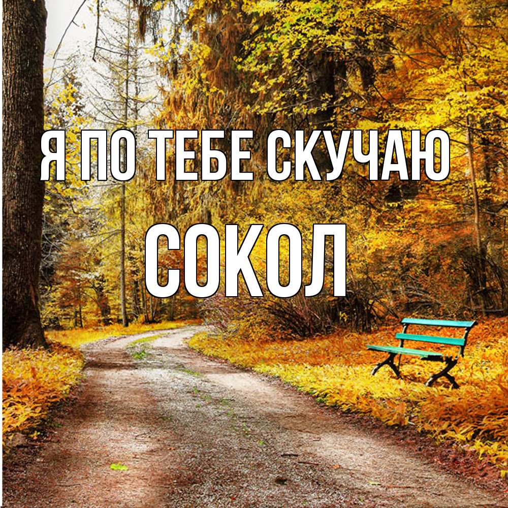Открытка на каждый день с именем, Сокол Я по тебе скучаю зеленая лавочка и осенний лес Прикольная открытка с пожеланием онлайн скачать бесплатно 