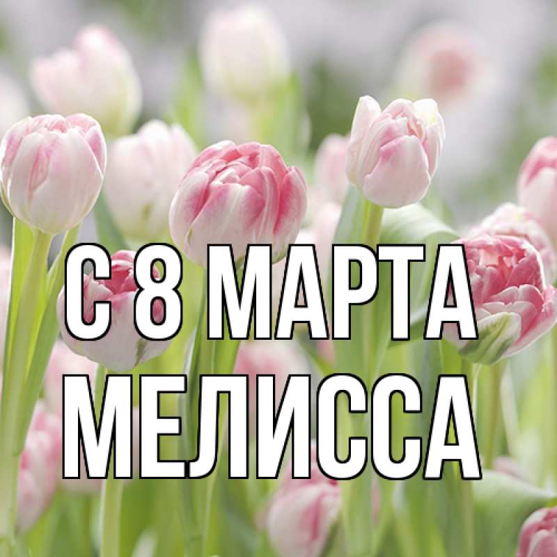 Картинка C 8 МАРТА, Мелисса