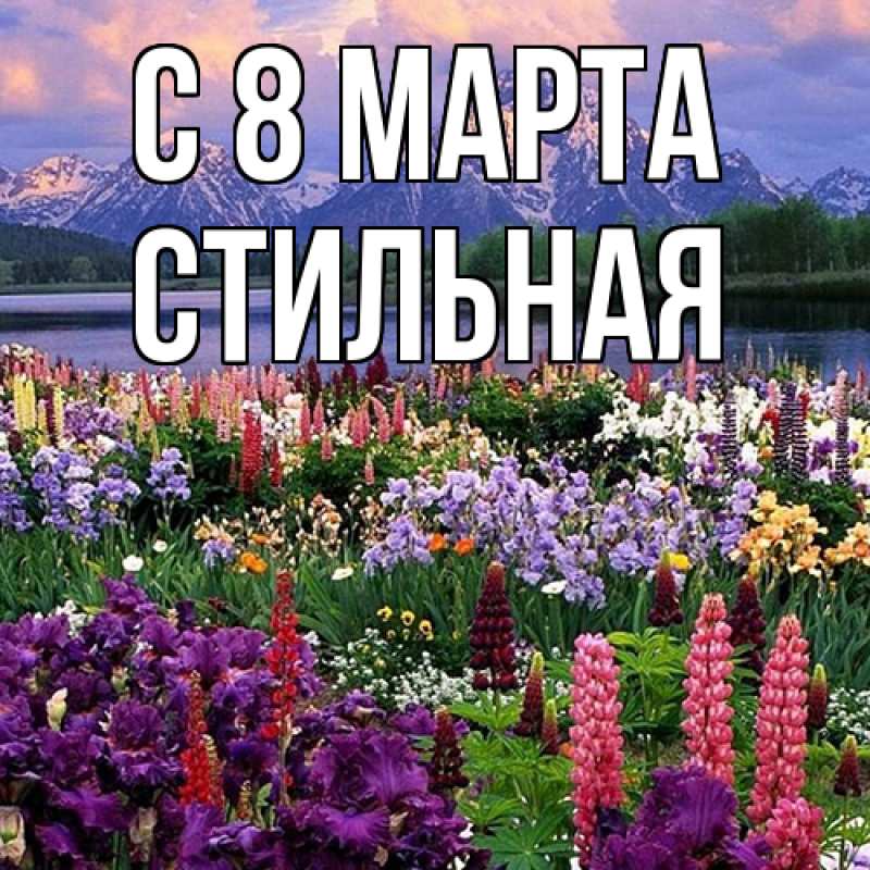 Картинка C 8 МАРТА, Стильная