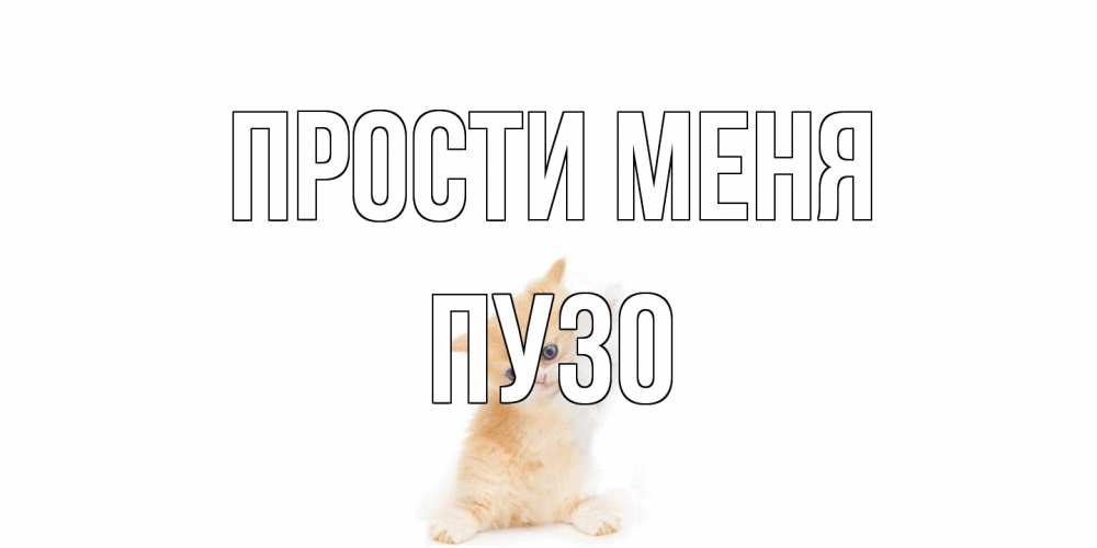 Открытка на каждый день с именем, Пузо Прости меня кот Прикольная открытка с пожеланием онлайн скачать бесплатно 