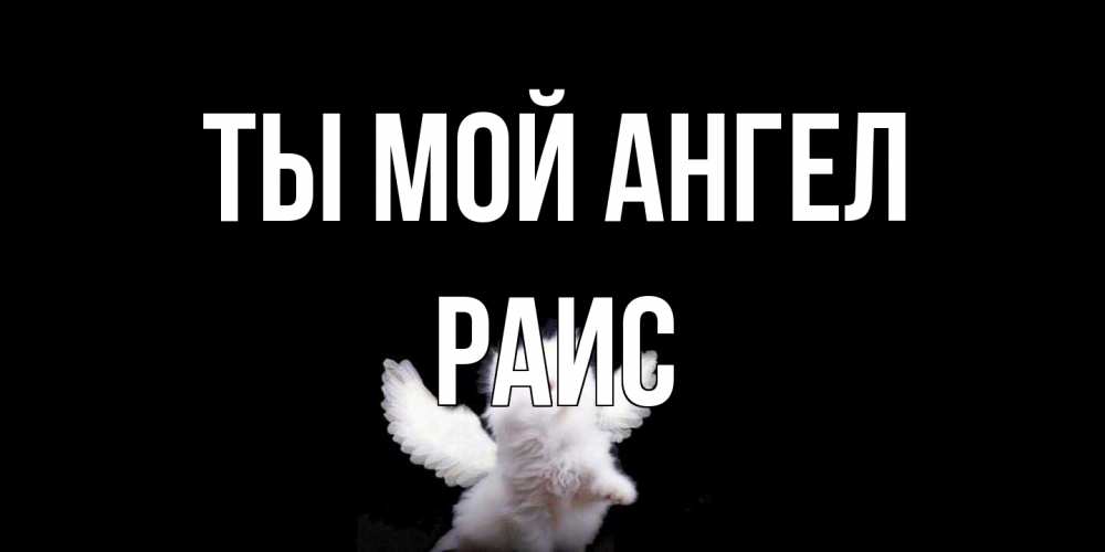 Открытка на каждый день с именем, Раис Ты мой ангел Кот ангел Прикольная открытка с пожеланием онлайн скачать бесплатно 