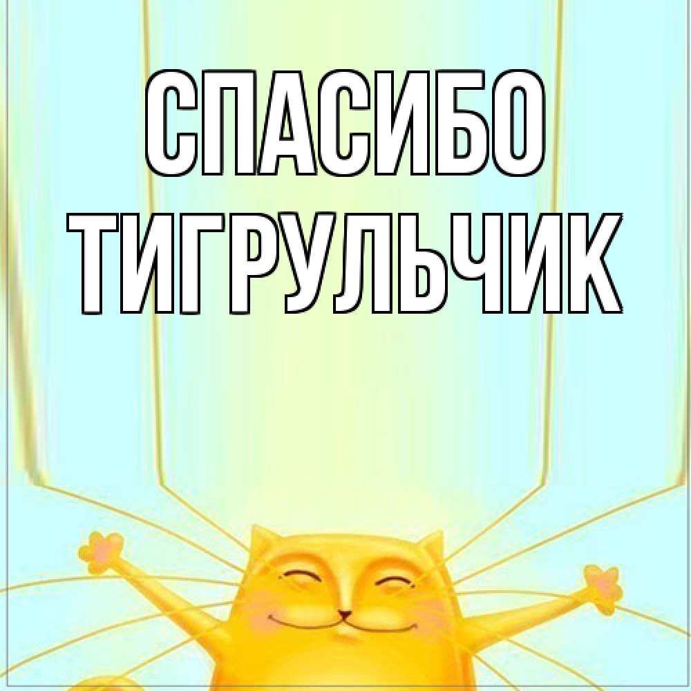Открытка на каждый день с именем, Тигpульчик Спасибо кот с усами благодарит Прикольная открытка с пожеланием онлайн скачать бесплатно 