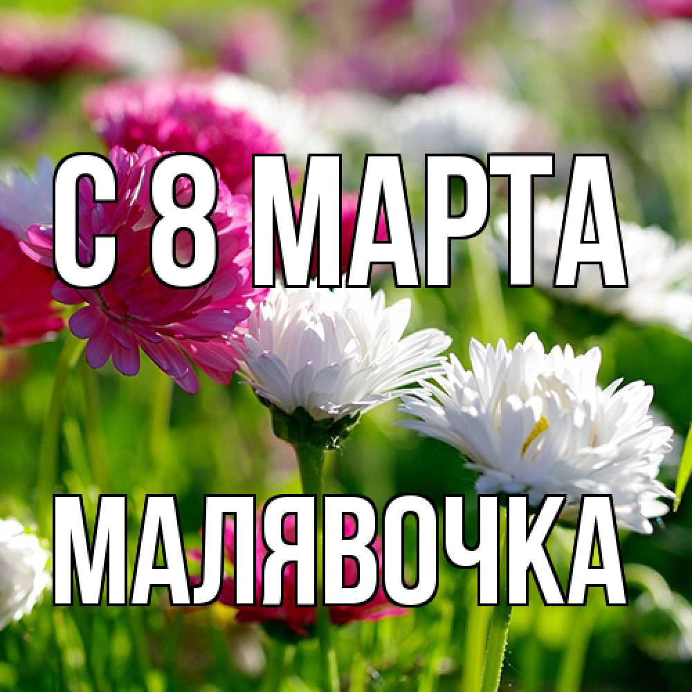 Открытка на каждый день с именем, малявочка C 8 МАРТА международный женский день 1 Прикольная открытка с пожеланием онлайн скачать бесплатно 