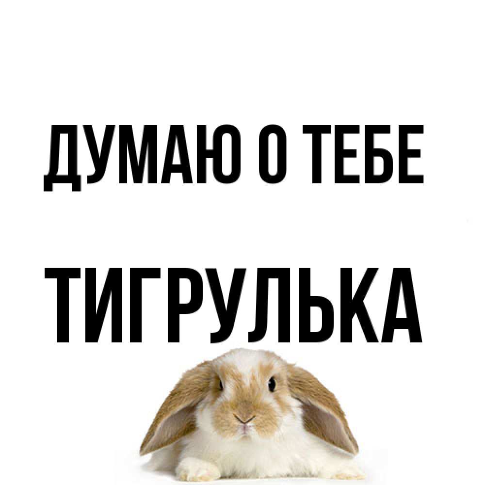 Открытка на каждый день с именем, тигрулька Думаю о тебе подписать своими руками онлайн Прикольная открытка с пожеланием онлайн скачать бесплатно 